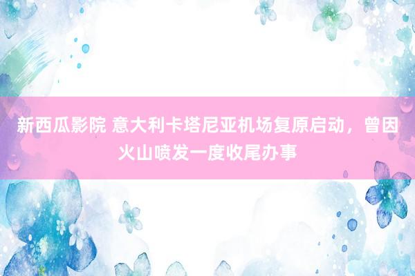 新西瓜影院 意大利卡塔尼亚机场复原启动，曾因火山喷发一度收尾办事