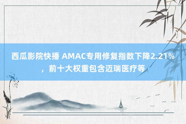 西瓜影院快播 AMAC专用修复指数下降2.21%，前十大权重包含迈瑞医疗等