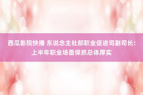 西瓜影院快播 东说念主社部职业促进司副司长：上半年职业场面保抓总体厚实