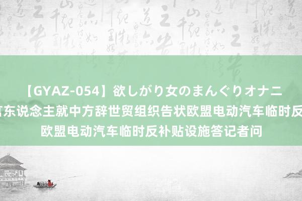 【GYAZ-054】欲しがり女のまんぐりオナニー 商务部新闻发言东说念主就中方辞世贸组织告状欧盟电动汽车临时反补贴设施答记者问