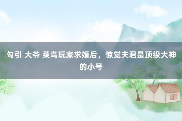 勾引 大爷 菜鸟玩家求婚后，惊觉夫君是顶级大神的小号