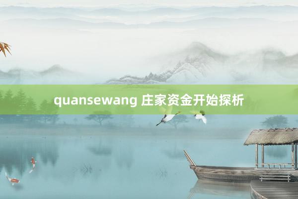 quansewang 庄家资金开始探析