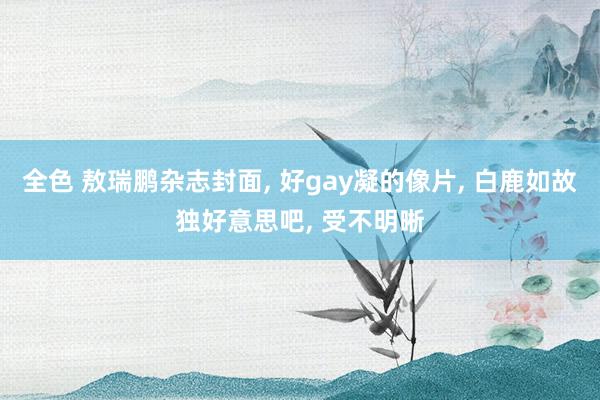 全色 敖瑞鹏杂志封面, 好gay凝的像片, 白鹿如故独好意思吧, 受不明晰