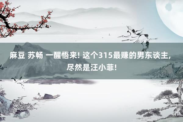 麻豆 苏畅 一醒悟来! 这个315最赚的男东谈主, 尽然是汪小菲!