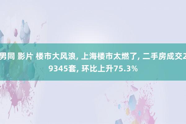 男同 影片 楼市大风浪, 上海楼市太燃了, 二手房成交293