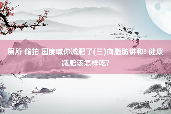 厕所 偷拍 国度喊你减肥了(三)向脂肪讲和! 健康减肥该怎样吃?