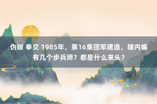 伪娘 拳交 1985年，第16集团军建造，辖内编有几个步兵师