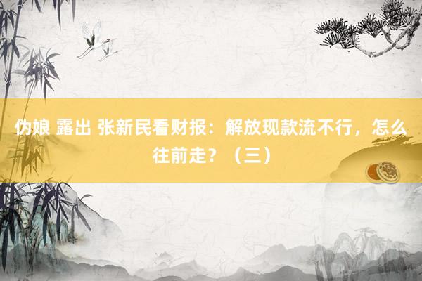伪娘 露出 张新民看财报：解放现款流不行，怎么往前走？（三）