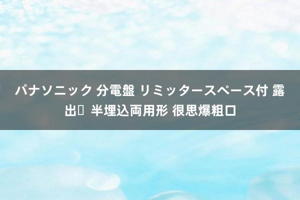 パナソニック 分電盤 リミッタースペース付 露出・半埋込両用形 很思爆粗口