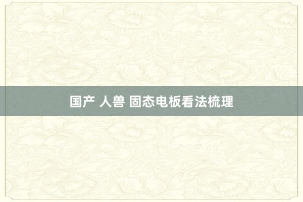 国产 人兽 固态电板看法梳理