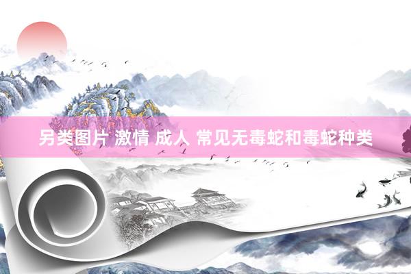 另类图片 激情 成人 常见无毒蛇和毒蛇种类